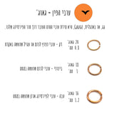 אלג'יה תכשיטים - מדריך פירסינג