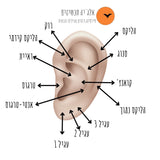 נזם חישוק אנשם - זהב צהוב / אדום - 14K